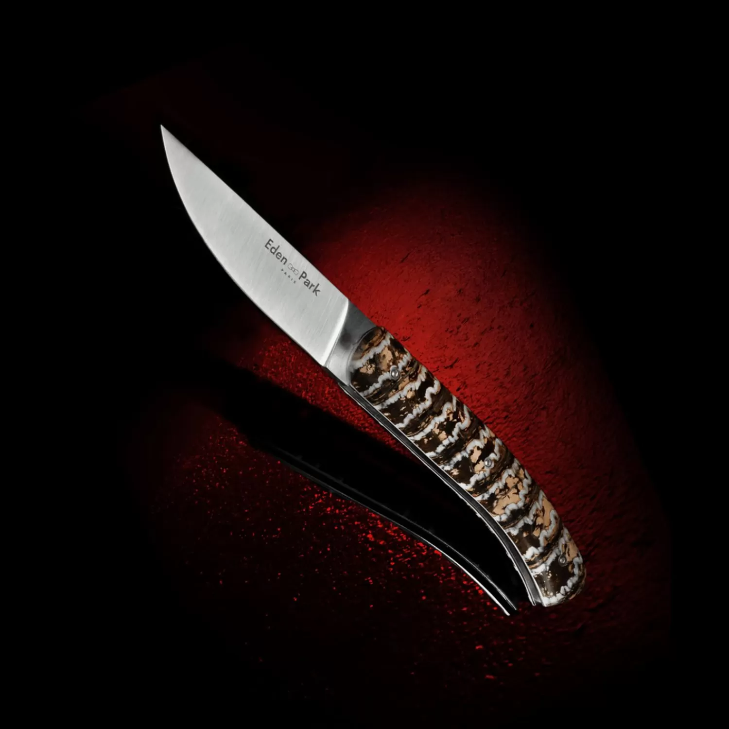 couteau_de_poche_avec_manche_en_molaire_de_mammouth_beige_0.webp Eden Park Couteau De Poche Avec Manche En Molaire De Mammouth Beige- Art De La Table